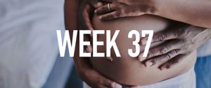 Your Pregnancy at Week 37