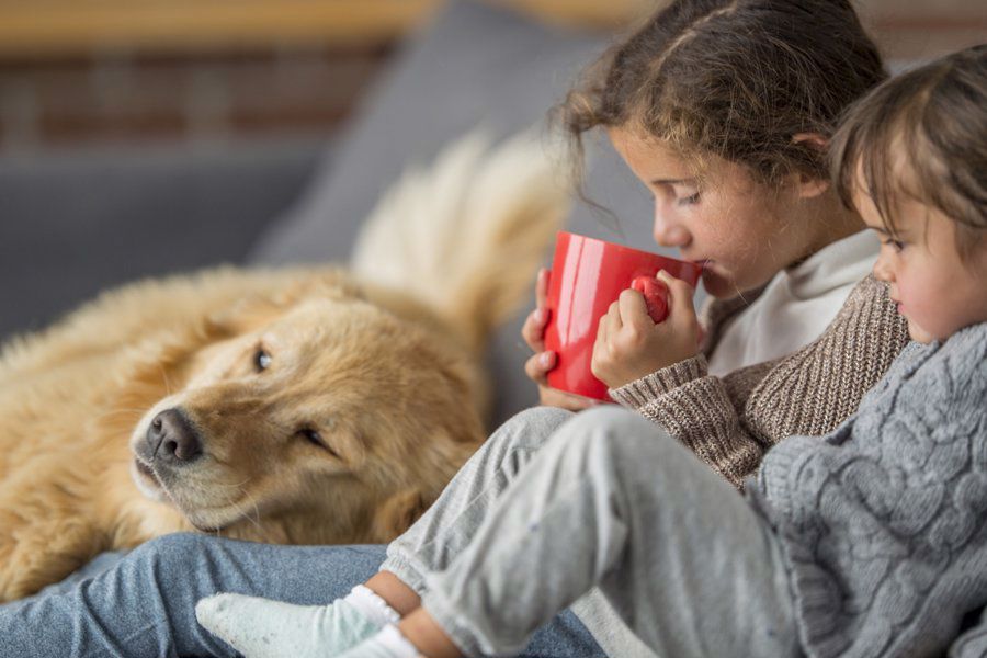 children drinking hot chocolate at home with dog