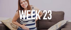 Your Pregnancy at Week 23 