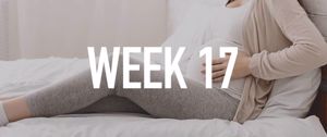 Your Pregnancy at Week 17