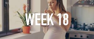 Your Pregnancy at Week 18