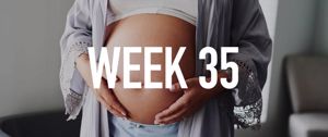 Your Pregnancy at Week 35