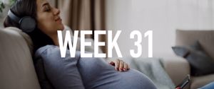 Your Pregnancy at Week 31