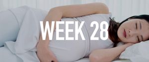 Your Pregnancy at Week 28 
