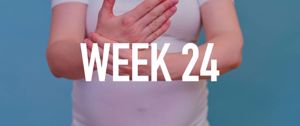Your Pregnancy at Week 24
