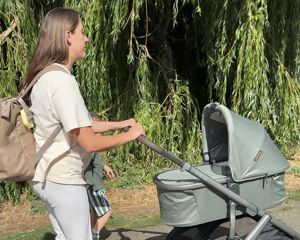 vista pram