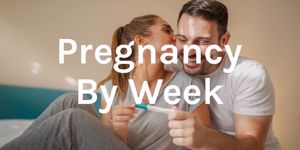 pregnancy by week