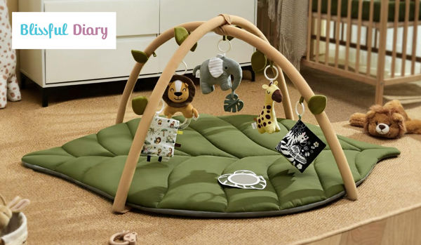 Win a Blissful Diary Play Gym!