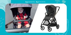 Inglesina Electa Stroller and Bassinet 