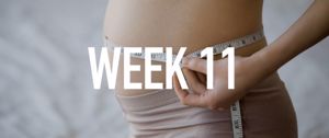 Your Pregnancy at Week 11