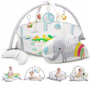 Lupantte 4-in-1 Baby Play Gym Review
