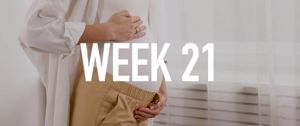 Your Pregnancy at Week 21