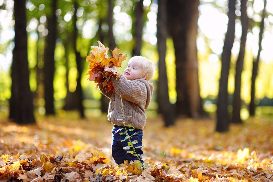 toddler picking up autumn leaves