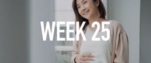 Your Pregnancy at Week 25