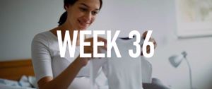 Your Pregnancy at Week 36