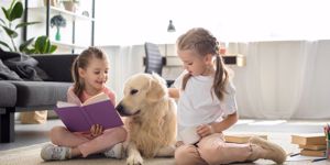 little-sisters-with-books-and-golden-retriever-dog-near-by-sitting-on-picture-id997667312.jpg