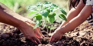 a mum and her daughter plant a small tree on earth day 